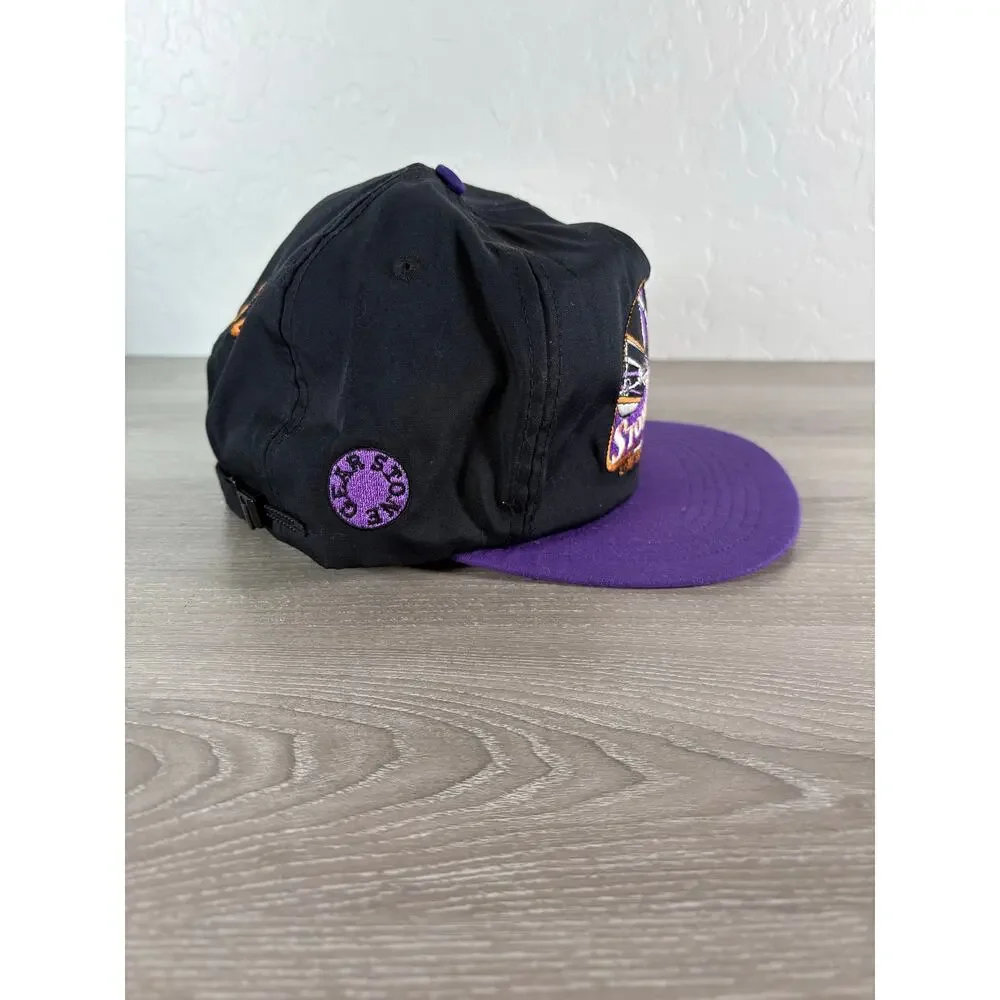 Vintage Stone Mountain Georgia Snapback Hat‎ Purple Ferris Wheel Embroidered USA